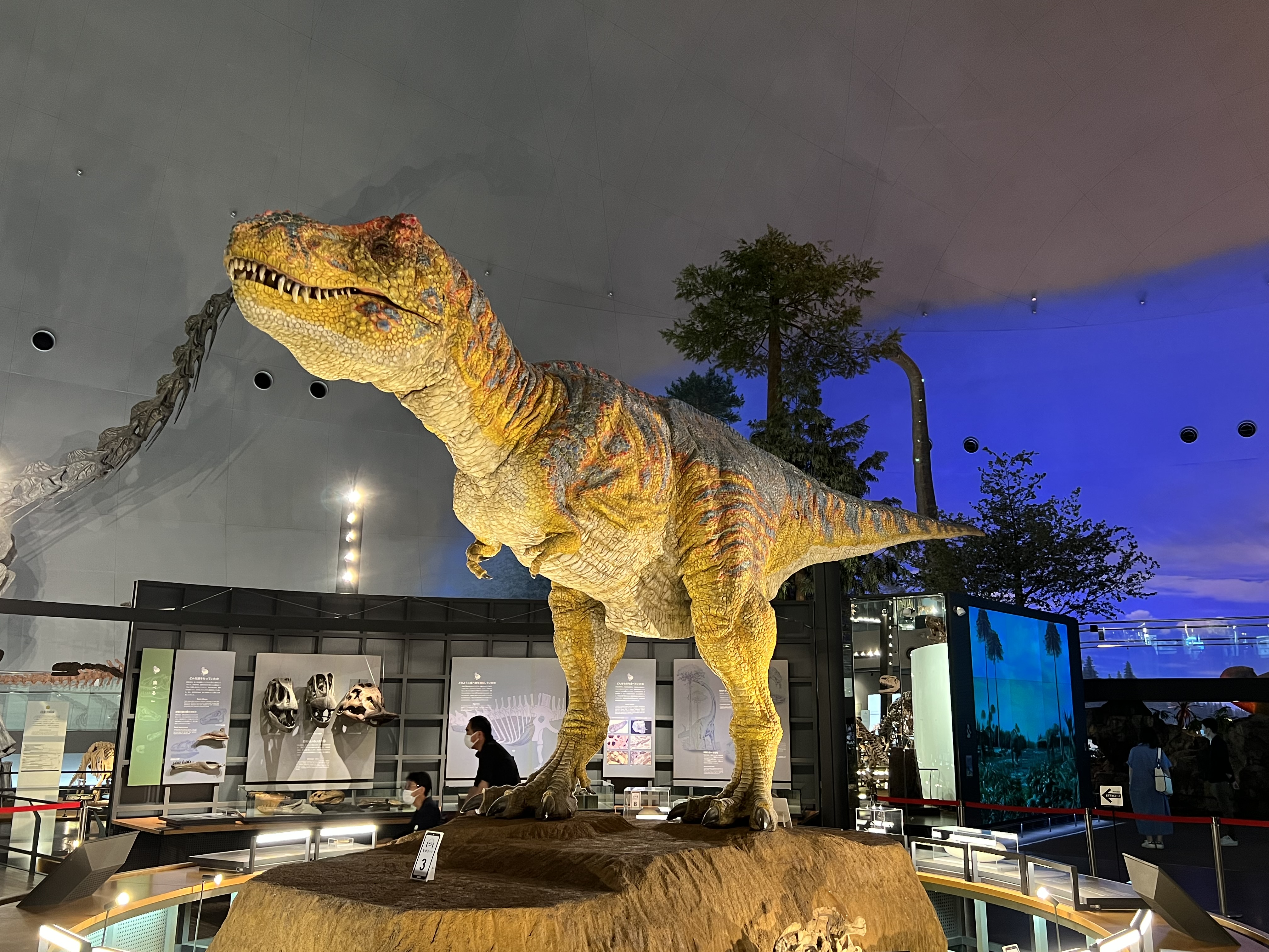 【年長組】　恐竜博物館見学